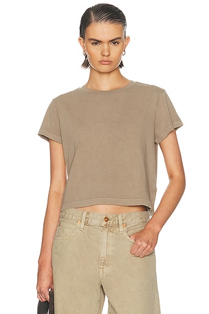 AGOLDE Adine Tee Shrunken Tee in Brown