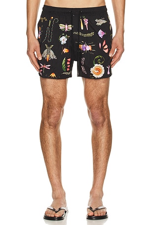 Agua Bendita Cassius Swim Trunks in Black