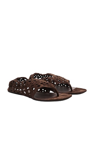 ALAÏA ALAΪA Neo Vienne Flat Sandal in Chocolate