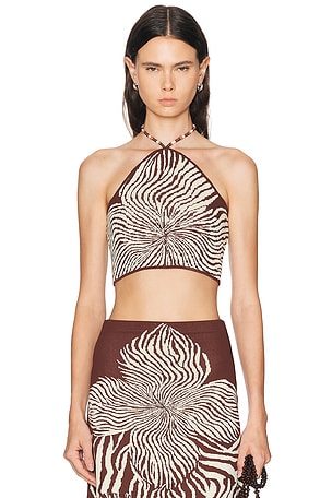 Alexis Gala Top in Brown