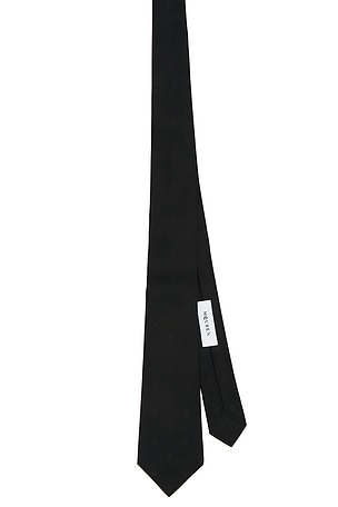 McQueen Silk Skull Tie in Black