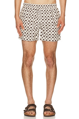 AUTO-REPLY 4 Printed Sebastian Swim Trunk in Cream
