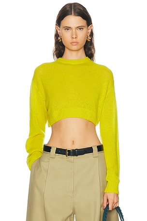 Balenciaga Cropped Crewneck Sweater in Yellow