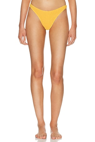 Bond Eye Sinner Bikini Brief in Mustard