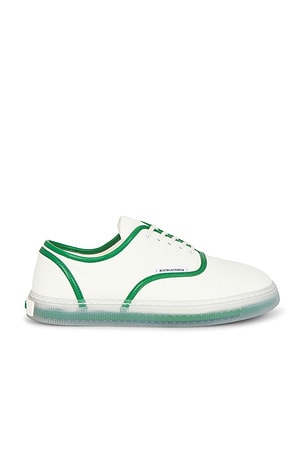 Bottega Veneta Serena Sneaker in Green,Ivory