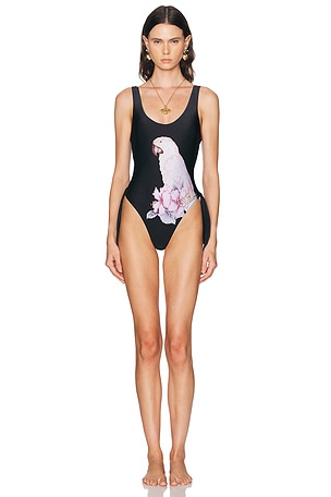 Chloe Parakeet One Piece Swimsuit in Black