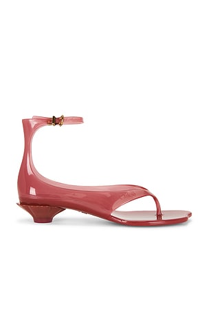 Chloe Jelly Sandal in Pink
