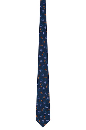 Dries Van Noten Tie in Blue