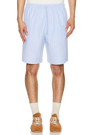 Dries Van Noten Piperi Shorts in Blue