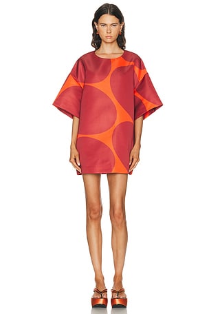 Dries Van Noten Dekkora Dress in Orange,Red