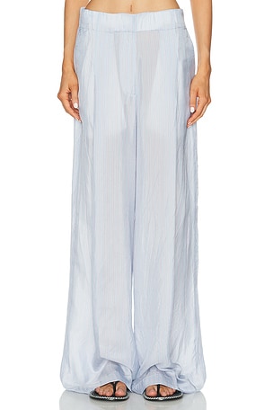 Dries Van Noten Pila Pants in Baby Blue