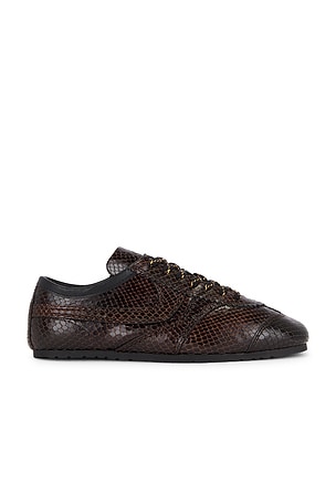 Dries Van Noten Snake Sneaker in Brown