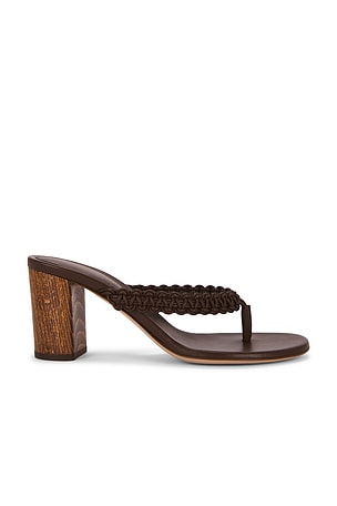 Gianvito Rossi Thong Sandal in Brown