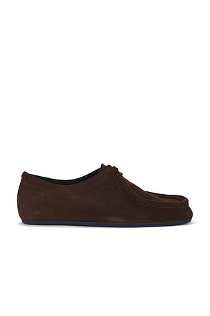 Jil Sander Suede Calf Leather Lace Up in Brown