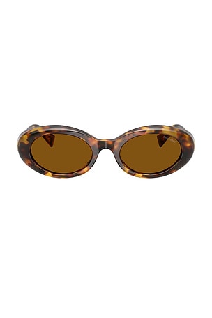 Miu Miu Oval Sunglasses in Brown,Black