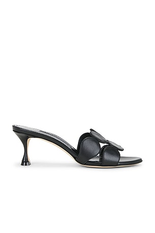 Manolo Blahnik Haribalmu 50 Sandal in Black