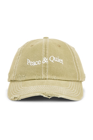 Museum of Peace and Quiet Wordmark Reverse Stitched Dad Hat in Sage
