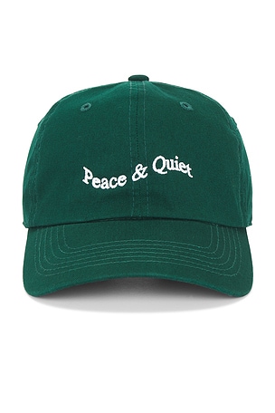 Museum of Peace and Quiet Wordmark Tye Dye Dad Hat in Green