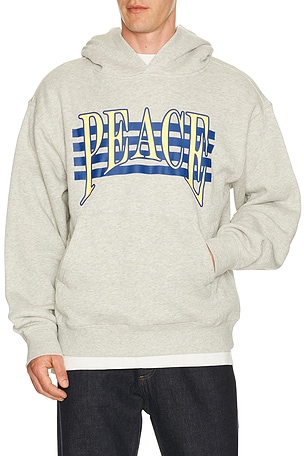 Museum of Peace and Quiet Seventies Hoodie in Grey