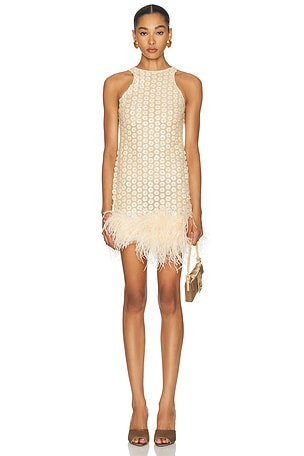 The New Arrivals by Ilkyaz Ozel Bixi Mini Dress in Blush