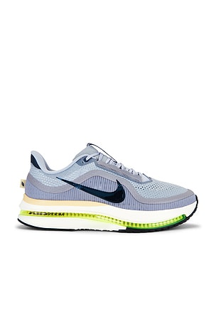 Nike Pegasus Premium in Grey