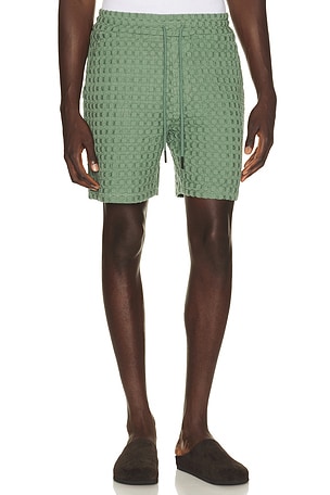 OAS Waffle Porto Shorts in Green