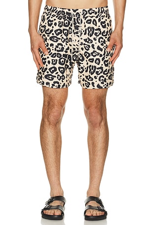 OAS Leo Swim Shorts in Tan