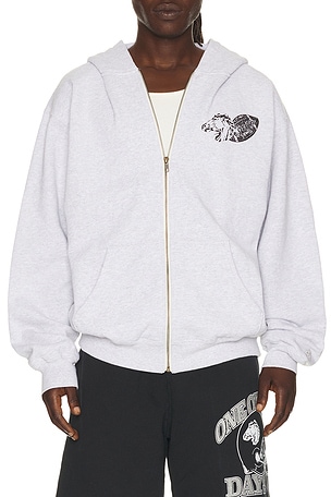 ONE OF THESE DAYS Days Usa Zip Up Hoodie in Light Grey