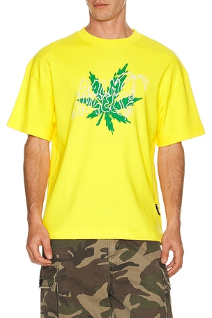 Palm Angels Palm Leaf Regular Tee in Yellow