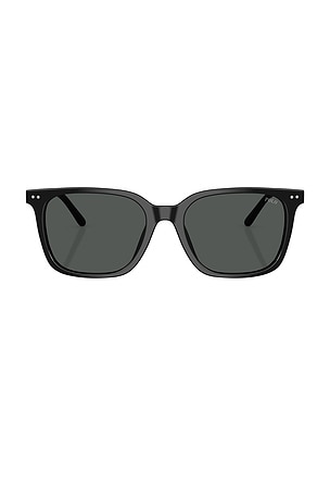 Polo Ralph Lauren Square Sunglasses in Black