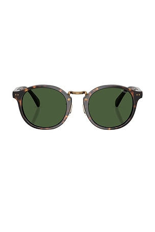 Polo Ralph Lauren Circular Sunglasses in Brown