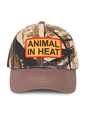 Pleasures Heat Snapback Hat in Brown