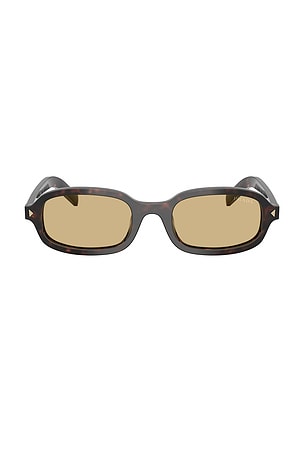 Prada Oval Sunglasses in Brown