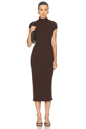 SABLYN Monique Slouchy Mock Neck Dress in Brown