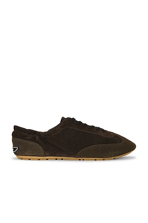 Saint Laurent Lewis Low Top Sneaker in Brown
