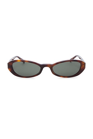 Saint Laurent Bayonetta Oval Sunglasses in Brown