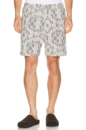 SAMSOE SAMSOE Sajabari Shorts in Multi