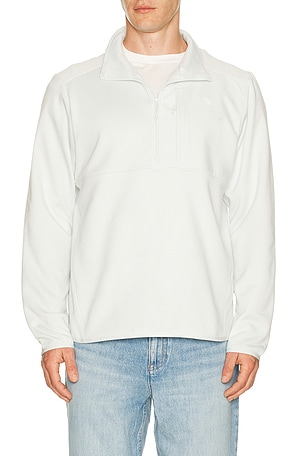 The North Face Performance Fleece 1/4 Zip in Light Grey