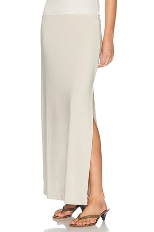 THE PARK Ashley Maxi Skirt in Beige