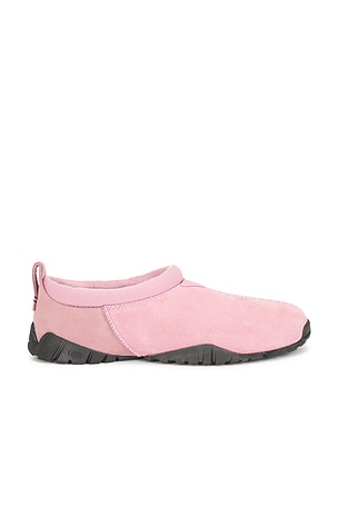 UGG Tasman Flex in Pink