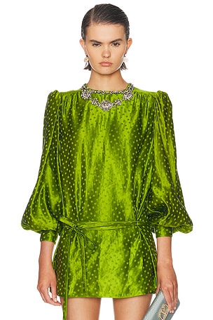 Valentino Plus De Pois Embroidered Top in Green