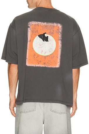 Won Hundred Houston Sun T-Shirt in Grey