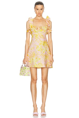 Zimmermann Golden Ruffle Mini Dress in Pink